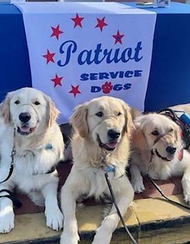 patriot service dogs